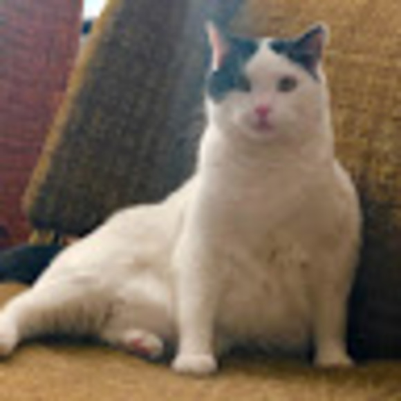 Meet your Posher, Got that - Picture 1 of 1